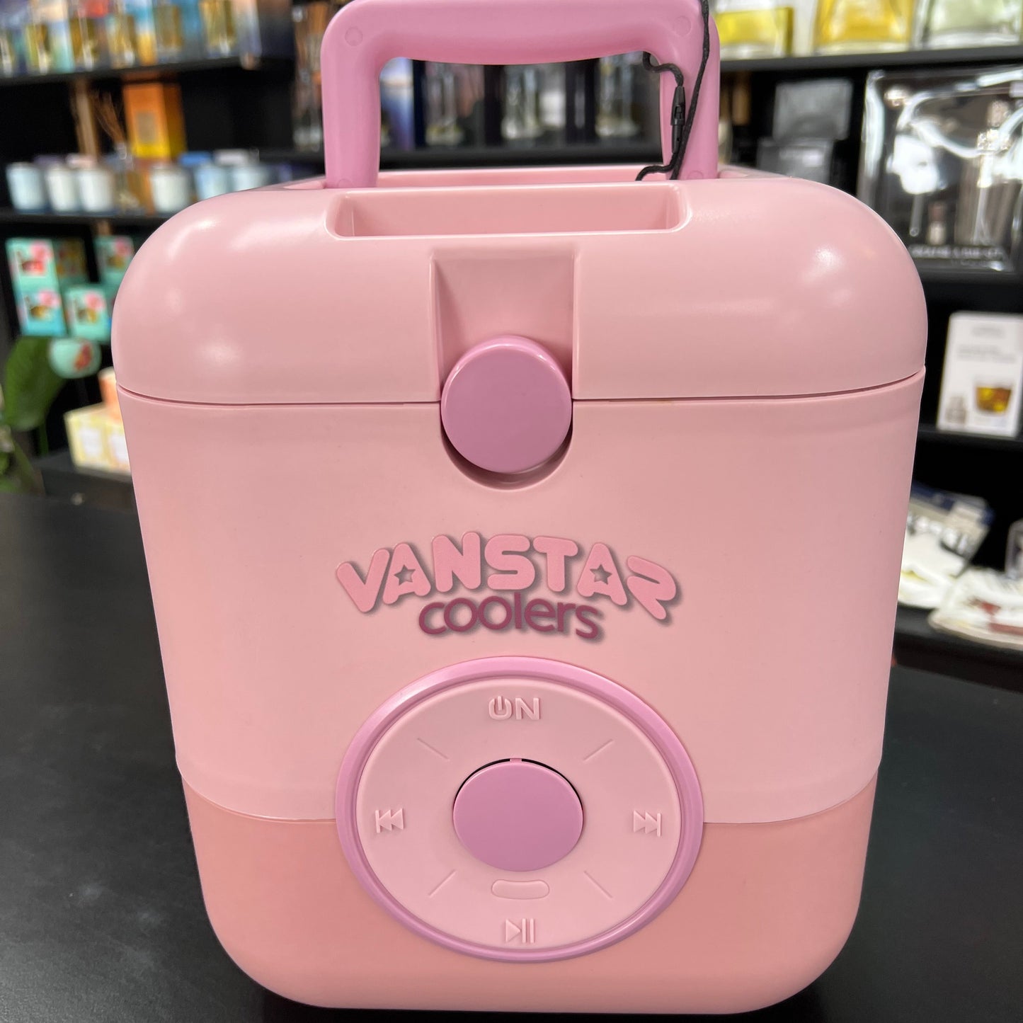 Vanstar VAN1000 3-in-1 Cooler Box with Wireless Speaker – 9L