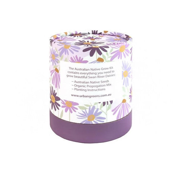 Urban Greens - Australian Native Swan River Daisies Grow Kit