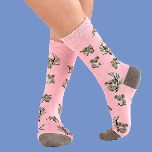 koala socks