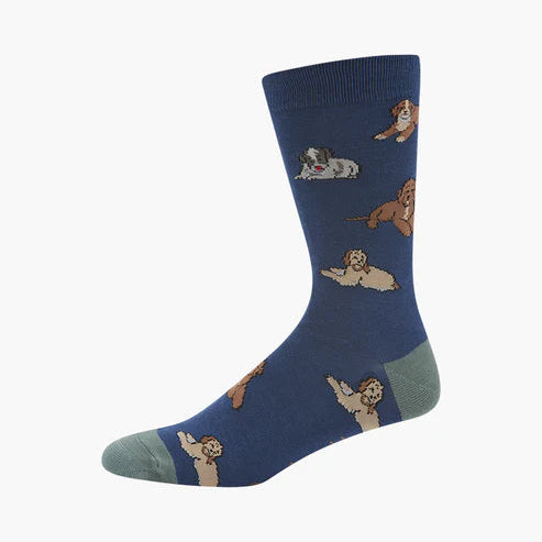 Blue sock with cavoodle dog pattern on a white background