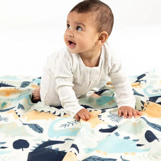 Indus Design Dinosaur Baby Swaddle - Cotton in Natural, Indigo, and Duck Egg."