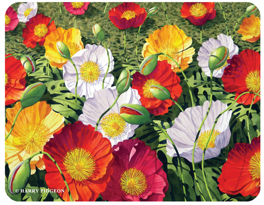 Placemats Harry Pidgeon " Ole"