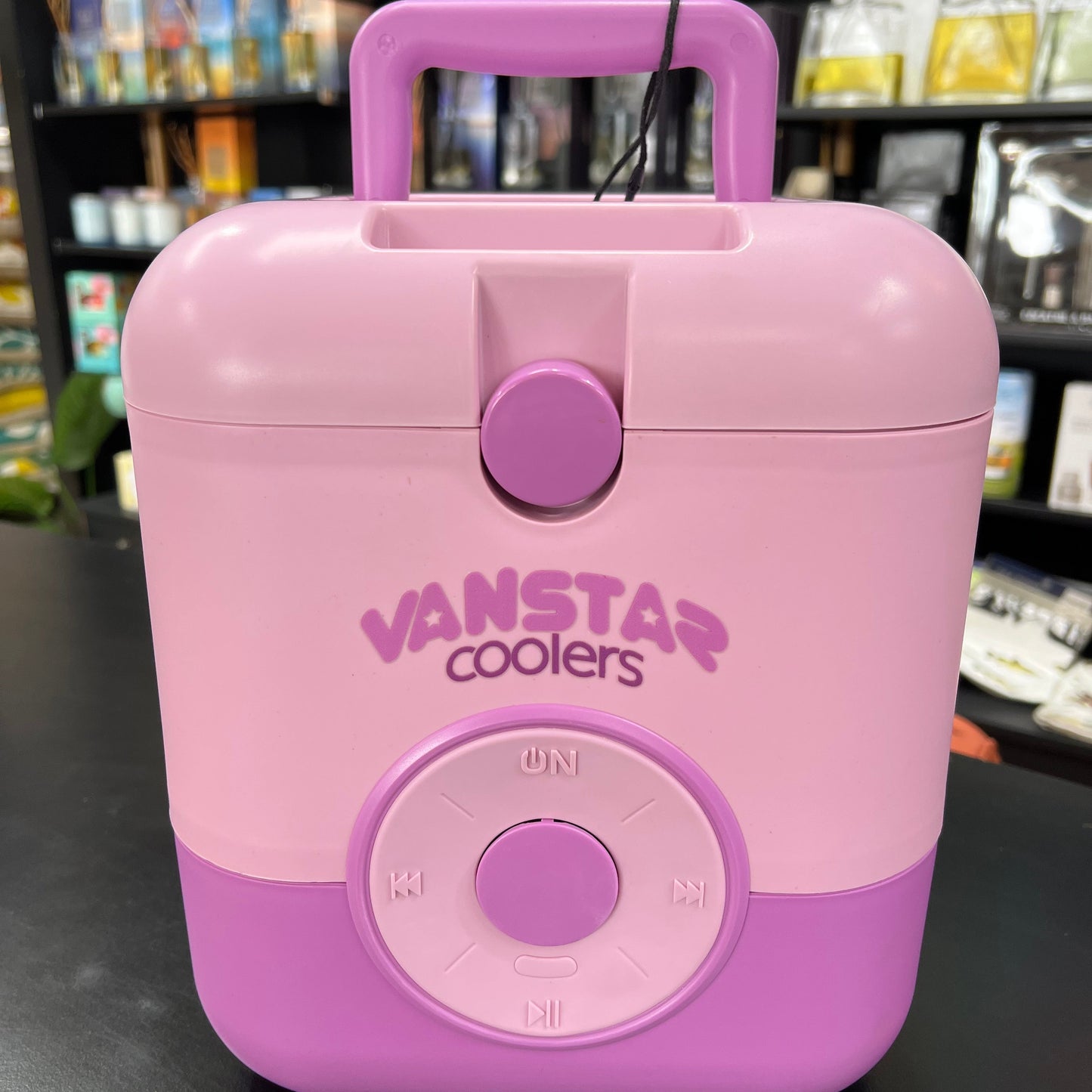 Vanstar VAN1000 3-in-1 Cooler Box with Wireless Speaker – 9L