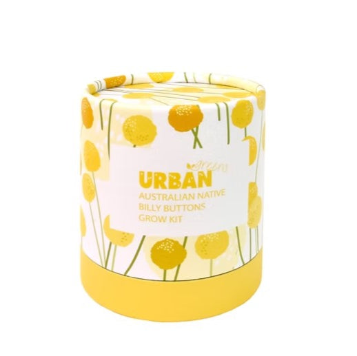 Urban Greens - Australian Native Billie Buttons Grow Kit