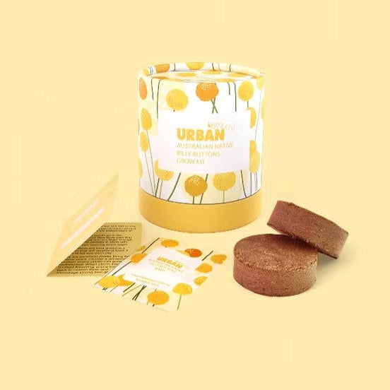 Urban Greens - Australian Native Billie Buttons Grow Kit