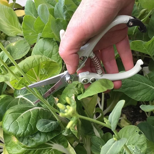 Urban Greens - Ergonomic Garden Snips – Precision Pruning