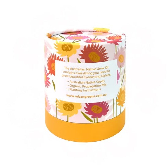 Australian Natives Grow Kit - Everlasting Daisies