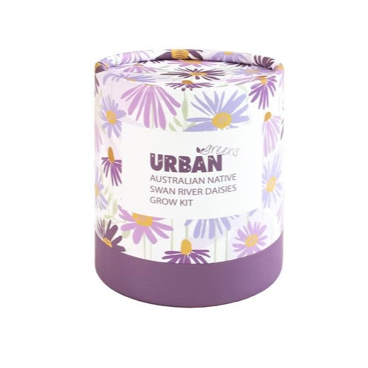 Urban Greens - Australian Native Swan River Daisies Grow Kit