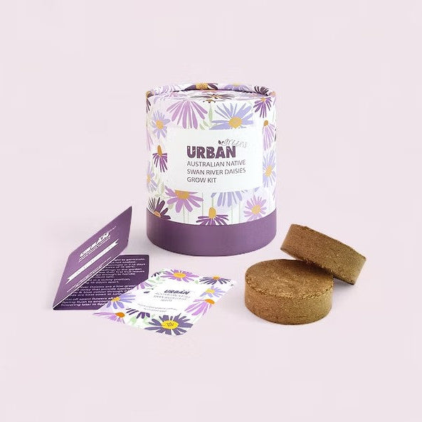 Urban Greens - Australian Native Swan River Daisies Grow Kit