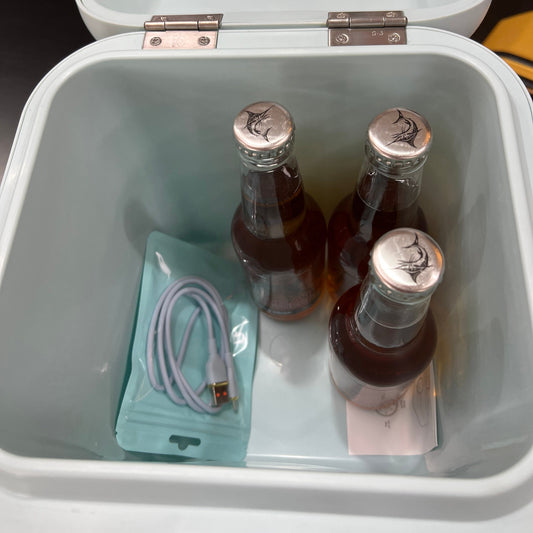 Vanstar VAN1000 3-in-1 Cooler Box with Wireless Speaker – 9L