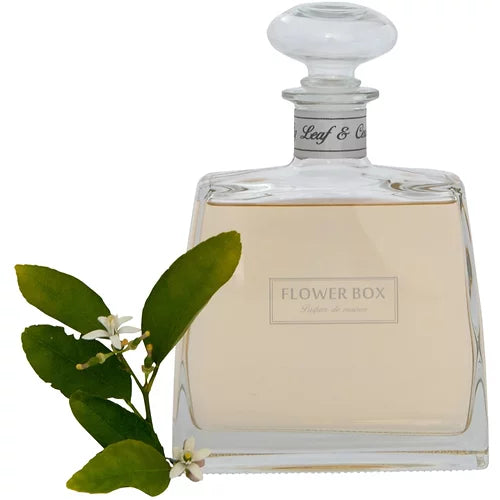 Flower Box Hallmark Diffuser - Fig Leaf & Cedar
